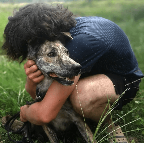 Hund erhält Pflege bei Saved Souls