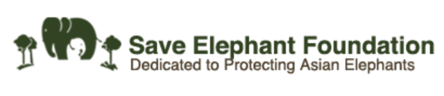 Elephant Nature Park Dog Sanctuary