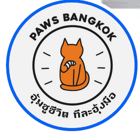 PAWS Bangkok