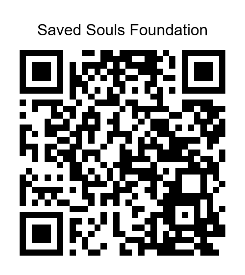 PayPal QR code – Saved Souls Foundation