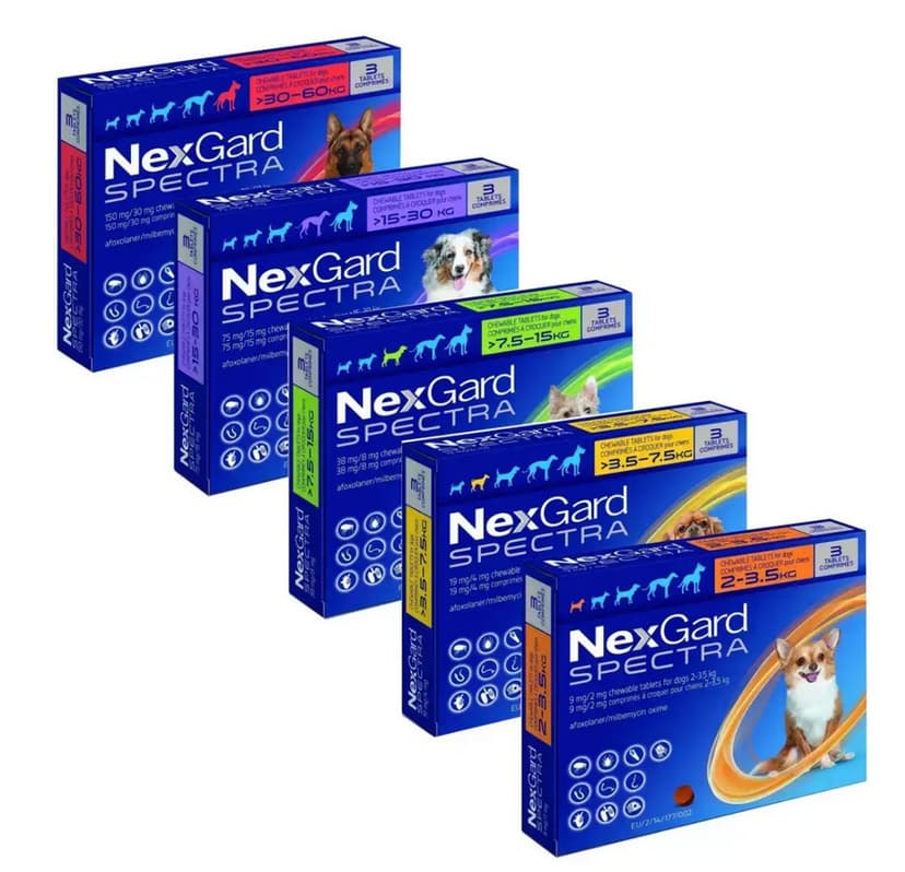 NexGard Spectra เม็ดเคี้ยวสำหรับสุนัข หลายขนาดน้ำหนัก