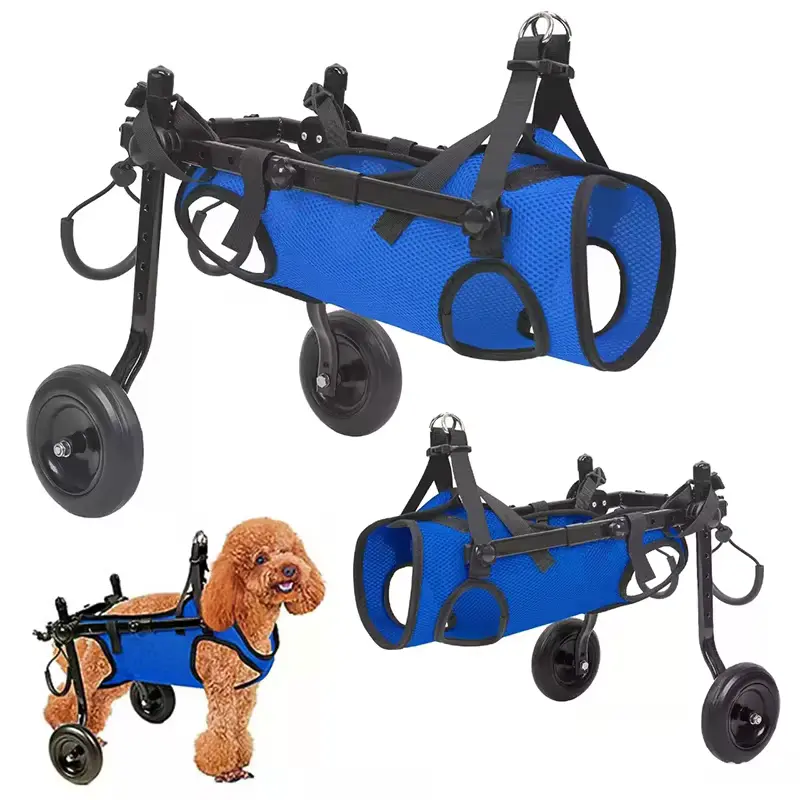 Chien en fauteuil roulant bleu – mobilité pour les chiots paralysés