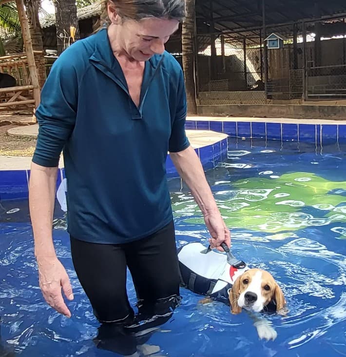 Vrijwilliger met hond in zwemtherapiebad bij Saved Souls Foundation