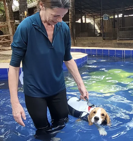 Hydrotherapy and care for a rescued dog