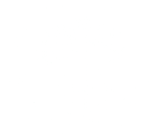 Saved Souls Foundation logo