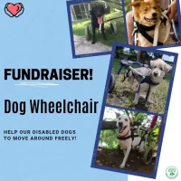 fundraiser---wheelchair--eng